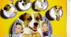 Paws (1997) stream