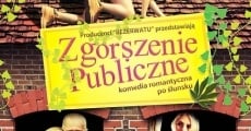 Zgorszenie publiczne (2009) stream