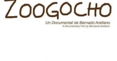 Película Zoogocho