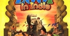 Película Zoop in India