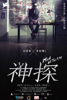 Sun taam (Mad Detective) en ligne gratuit