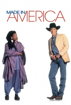 Ver película Hecho en America