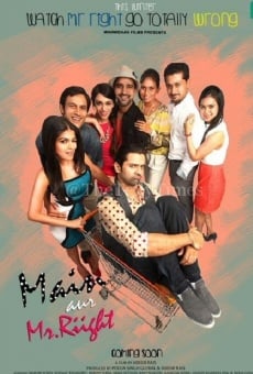 Watch Main Aur Mr. Riight online stream