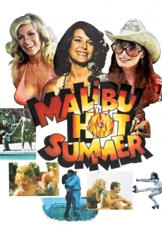 Malibu Hot Summer streaming en ligne gratuit