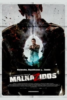 Ver película Malnazidos