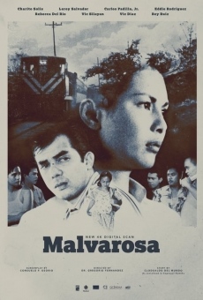 Malvarosa online streaming
