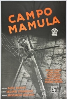 Ver película Mamula Camp