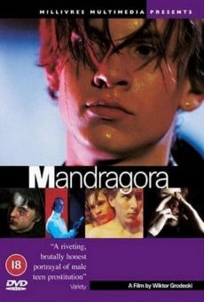 Ver película Mandragora