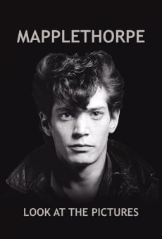 Mapplethorpe: Look at the Pictures en ligne gratuit