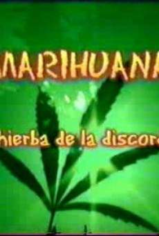 Marihuana, la hierba de la discordia