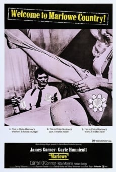 L'investigatore Marlowe online streaming