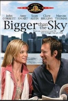 Più grande del cielo online streaming