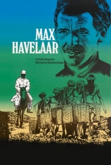 Max Havelaar of de koffieveilingen der Nederlandsche handelsmaatschappij