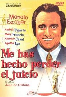 Ver película Me has hecho perder el juicio