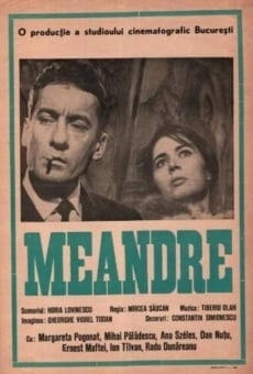 Meandre online streaming