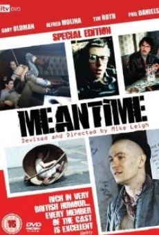 Ver película Meantime