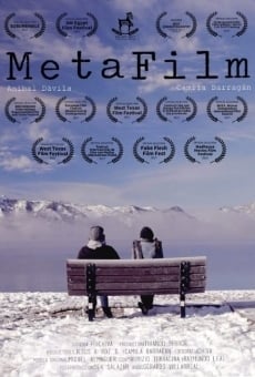 Ver película MetaFilm