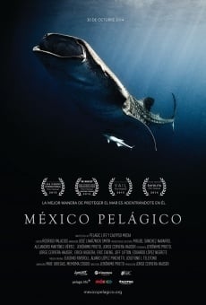 México pelágico streaming en ligne gratuit