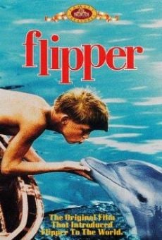 Flipper stream online deutsch