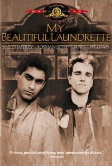 My Beautiful Laundrette - Lavanderia a gettone online streaming