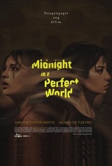 Midnight in a Perfect World online kostenlos