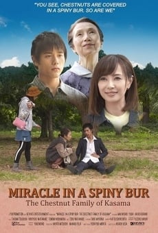 Ver película Miracle in Kasama aka Miracle in a Spiny Bur: The Chestnut Family of Kasama