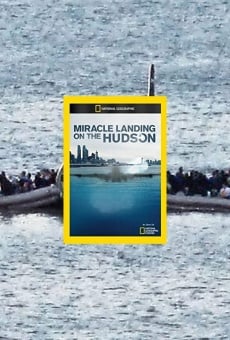 Ver película Milagro en el río Hudson