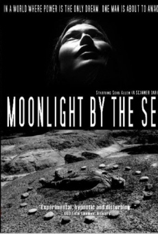 Moonlight by the Sea gratis