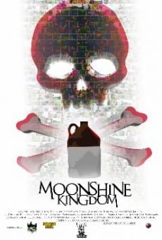 Ver película Moonshine Kingdom