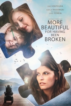 More Beautiful for Having Been Broken streaming en ligne gratuit