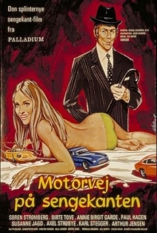 Ver película Motel en la carretera