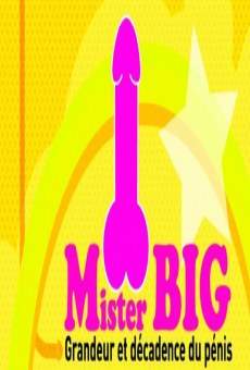 Mr. Big, todo sobre el pene online