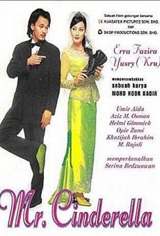 Mr. Cinderella online streaming