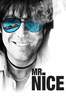 Mr. Nice online