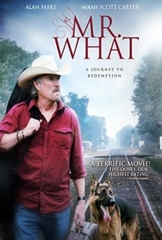 Ver película Mr. What