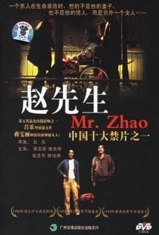 Zhao xiansheng online streaming