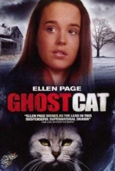 Mrs. Ashboro's Cat online streaming