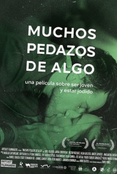 Muchos pedazos de algo (2015)