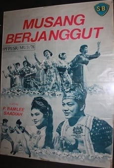 Musang berjanggut on-line gratuito