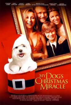 Ver película El milagro de Navidad de mi perro