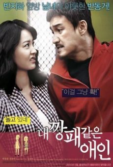 Nae Kkangpae Kateun Aein (My Girlfriend as a Gangster) (My Dear Desperado) on-line gratuito