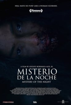 Misterio de la Noche online free