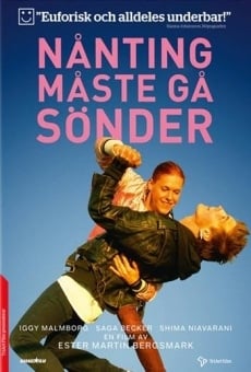 Ver película Nånting måste gå sönder