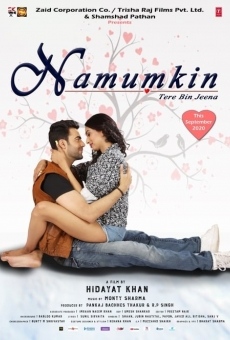 Namumkin Tere Bin Jeena stream online deutsch