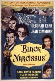 Black Narcissus