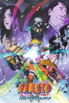 Naruto La Película: ¡La Gran misión! ¡El rescate de la Princesa de la Nieve! online