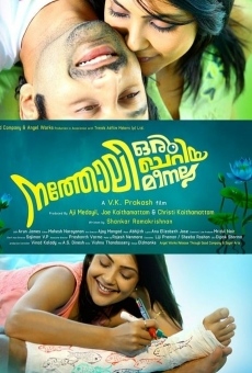 Natholi Oru Cheriya Meenalla streaming en ligne gratuit