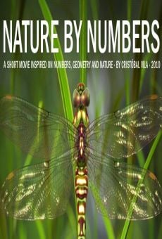 Nature by Numbers online kostenlos