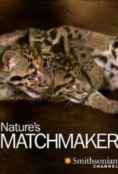 Watch Nature's Matchmaker online stream