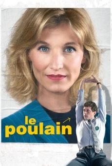 Le poulain gratis